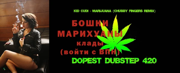 крисы Алексин