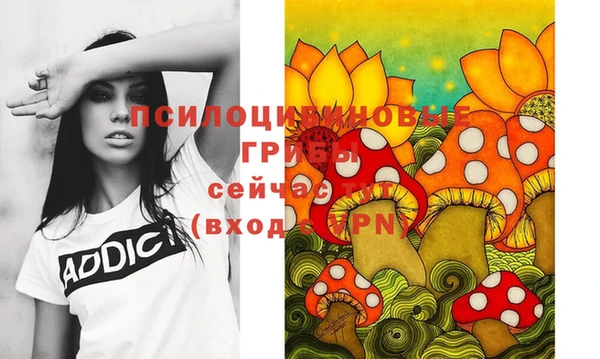 крисы Алексин