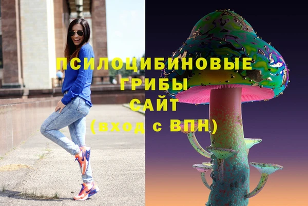 крисы Алексин