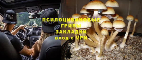 крисы Алексин