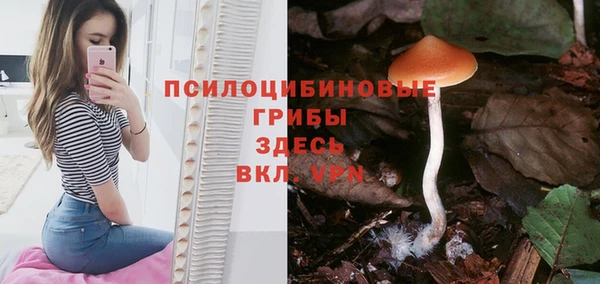 крисы Алексин