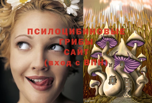 apvp Алексеевка