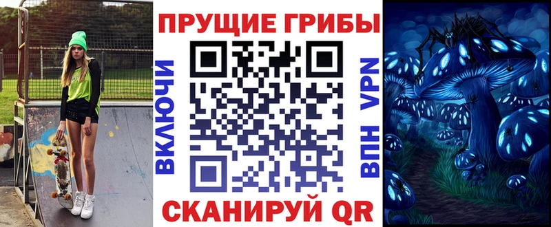ОМГ ОМГ зеркало  Петушки  Галлюциногенные грибы Cubensis 